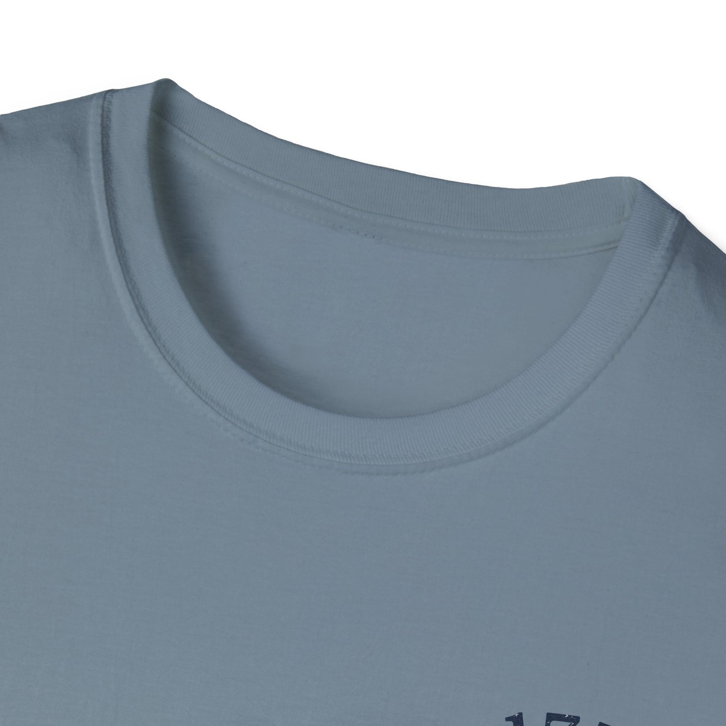 Party Like It's 1776 T-Shirt